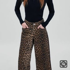 Zara Leapord Print Pants